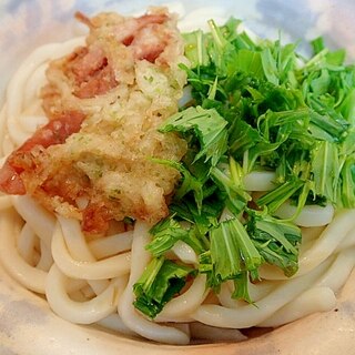 ❤かき揚げと水菜の麺つゆかけうどん❤